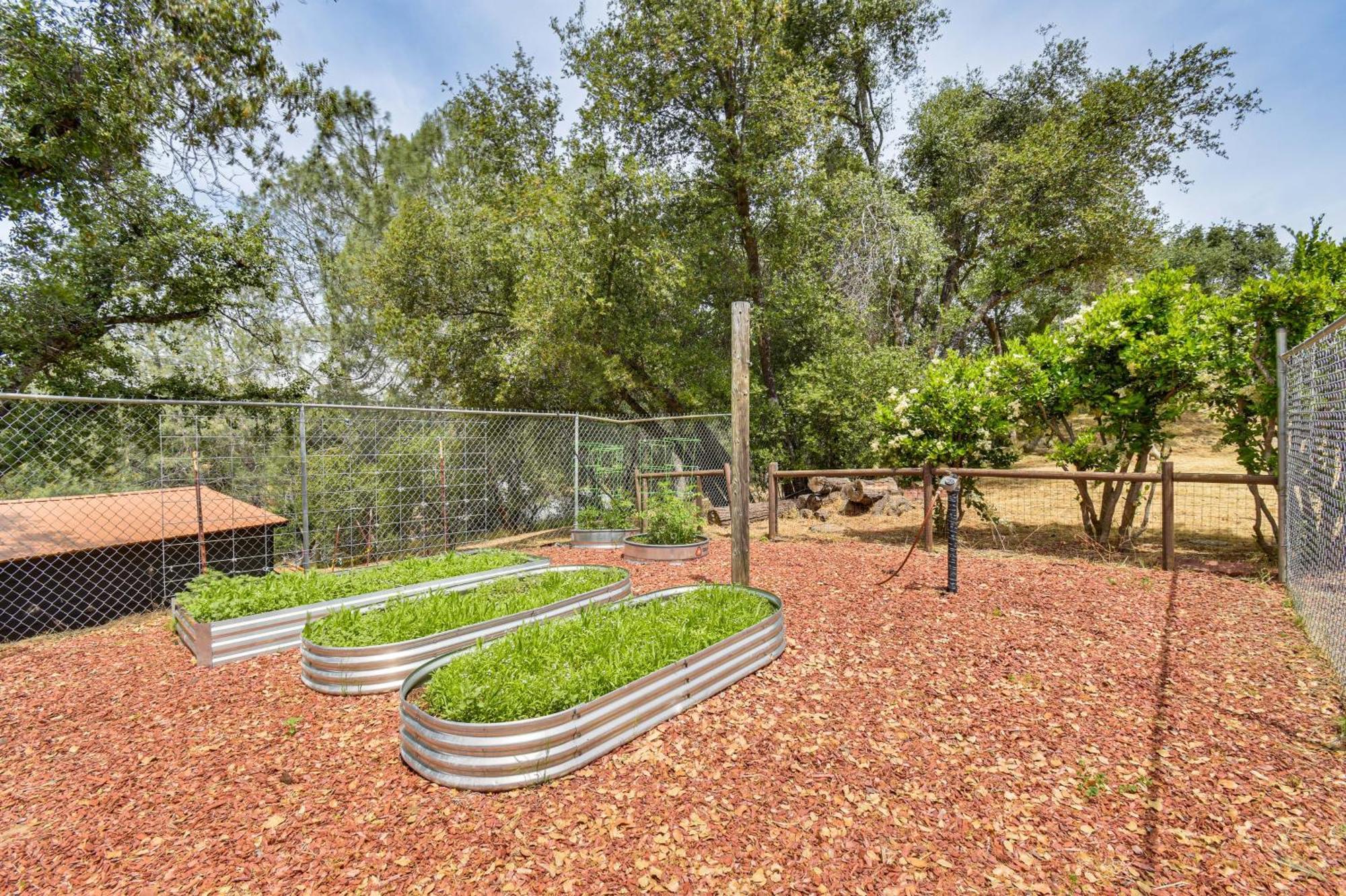 Yosemite Wellbeing Retreat On 5 Acres With Mtn Views Apartment อาห์วาห์นี ภายนอก รูปภาพ