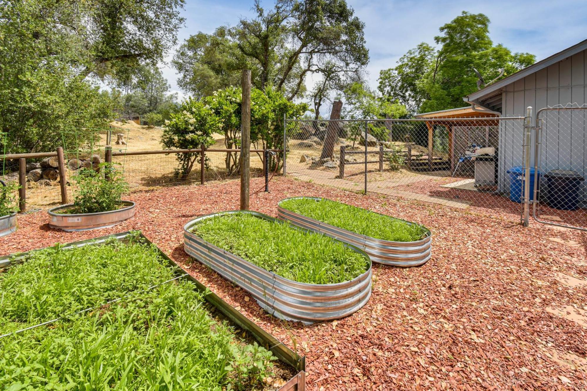 Yosemite Wellbeing Retreat On 5 Acres With Mtn Views Apartment อาห์วาห์นี ภายนอก รูปภาพ